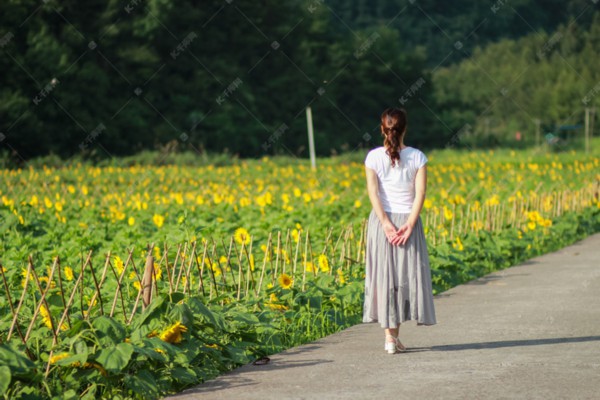武汉茶香四溢，价格一览图赏心悦目